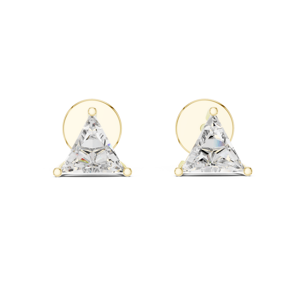 Earrings 5