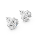 Earrings 8