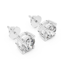 Earrings 16