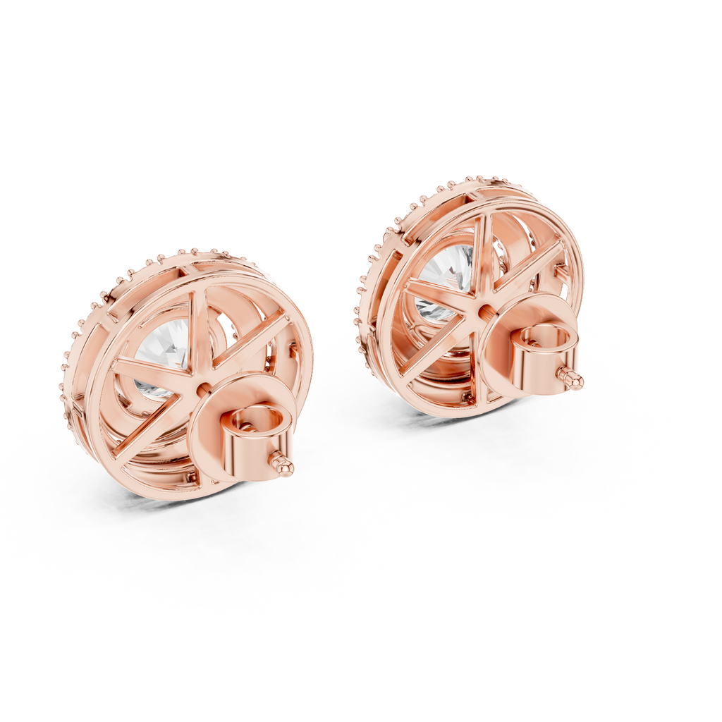 Earrings 17