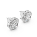 Earrings 17