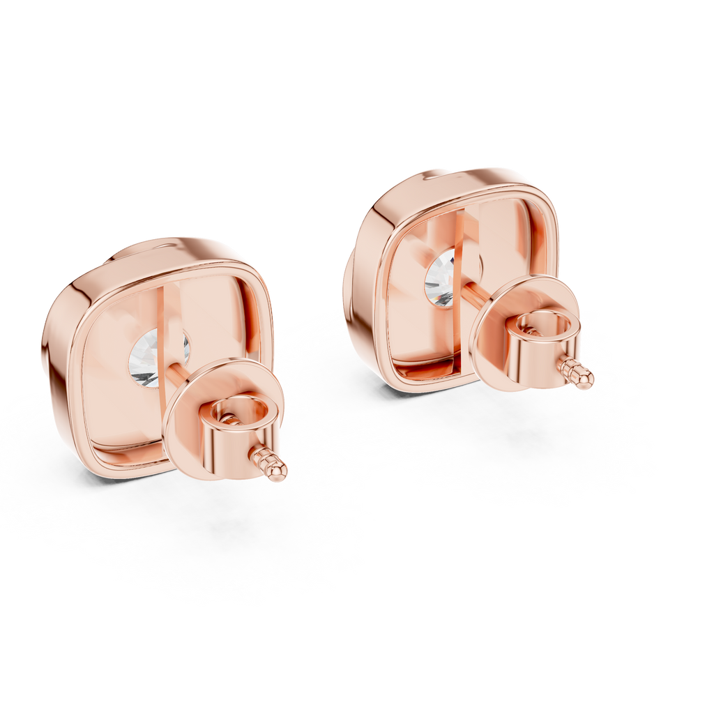 Earrings 20